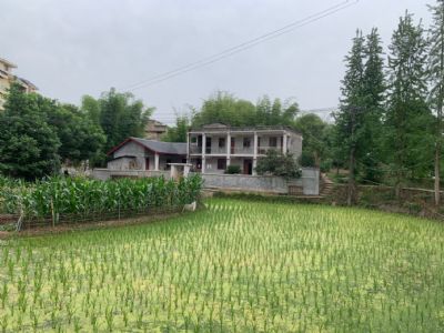 重庆市大足区农村房屋出租，绿意盎然的乡村房屋
